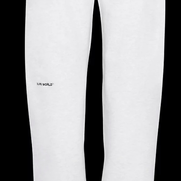 IN SEARCH OF ARITZIA SUPER WORLD SWEATPANT - Picture 3 of 4